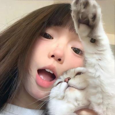 套路大师